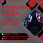 BYTE PHANTOM CYBER SERVICE.....jpeg
