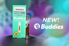 New-Buddies-1024x688.jpeg